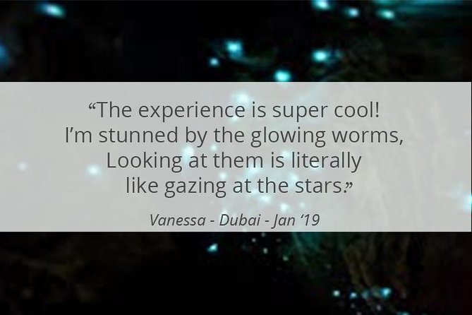 See Auckland's Secret Glow Worms - How Fit Do You Need to Be for This Bush Walk?