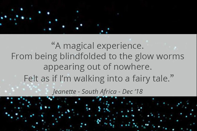 See Auckland's Secret Glow Worms - Who Should Book This Glow Worm Tour?