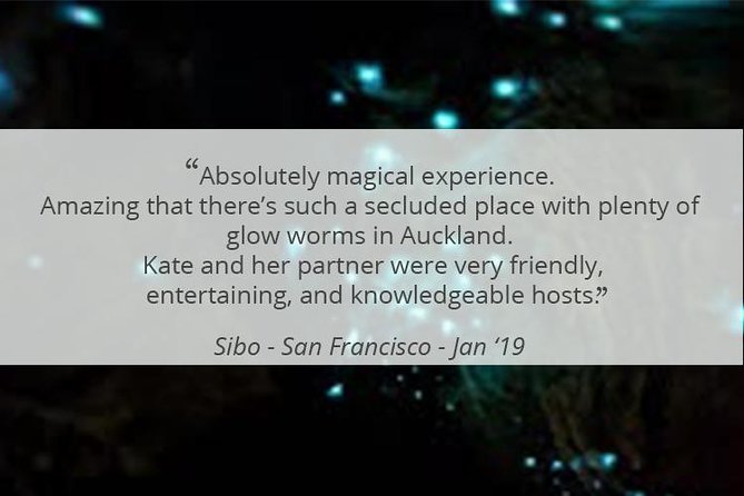 See Auckland's Secret Glow Worms - Should You Book This Tour?