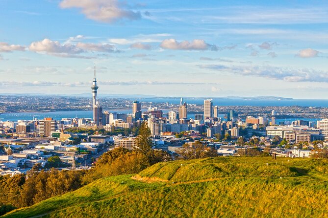 Sheep Shearing and Auckland City Highlights Tour with Lunch - Auckland Harbour Bridge to Ponsonby: drive-by highlights that still feel personal