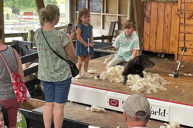 Sheep World Country Tour from Auckland - Who This Tour Suits Best (And Who Should Rethink It)