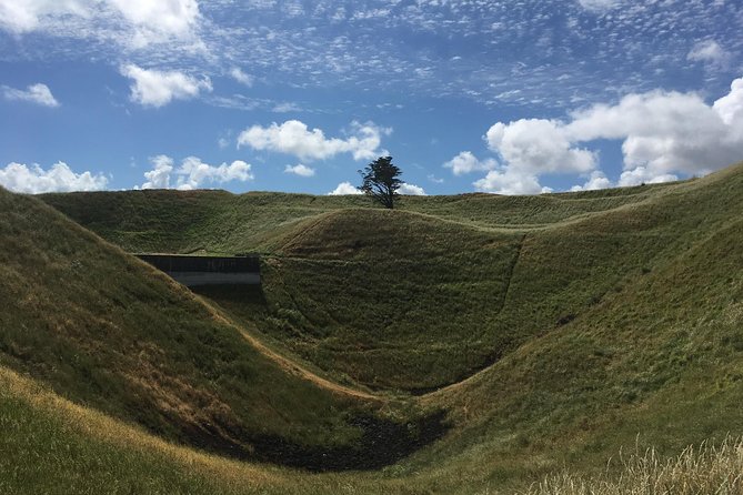 Shore Excursion: Half-Day Auckland Volcanoes Tour - Auckland’s Volcanoes Tour: What You’re Actually Signing Up For