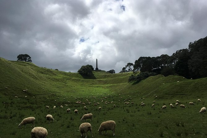 Shore Excursion: Half-Day Auckland Volcanoes Tour - Price and Value: Does $179.97 Make Sense?