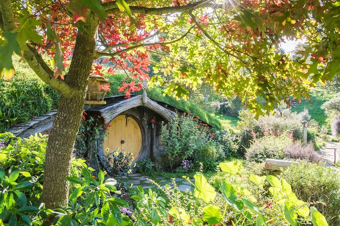 Small-Group Hobbiton and Waitomo Day Tour with Lunch from Auckland - Morning From Auckland: Pickup, the 7:00 am Start, and the Taupiri Reset