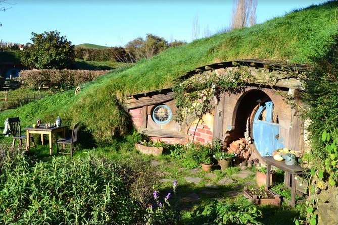 Small-Group Hobbiton and Waitomo Day Tour with Lunch from Auckland - The Day’s Pace: What Small-Group (and Different Guides) Changes