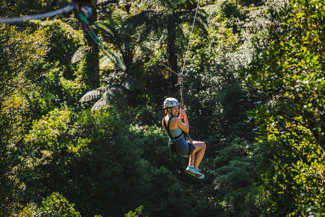 Small Group Northern Voyager 7 Days Tour - The North Island in 7 Days, Without Feeling Like a Whirlwind