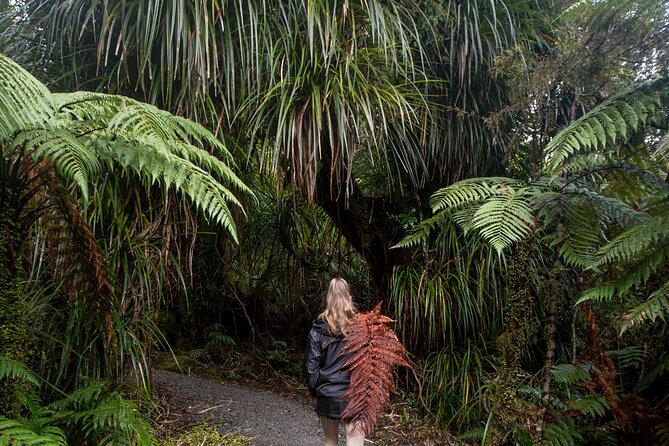 Small Group Northern Voyager 7 Days Tour - Rotorua: How to Pick Between Adrenaline and Slow Heat