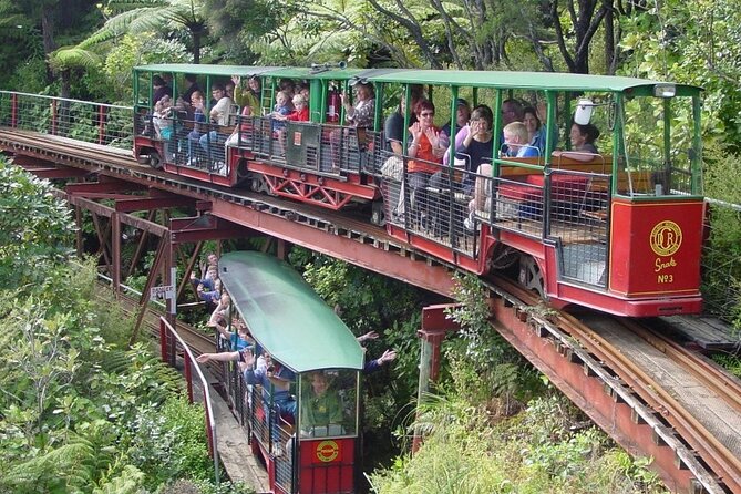 [Stevong Travel] West Coromandel Day Tour - West Coromandel from Auckland in one day: what this plan gets right