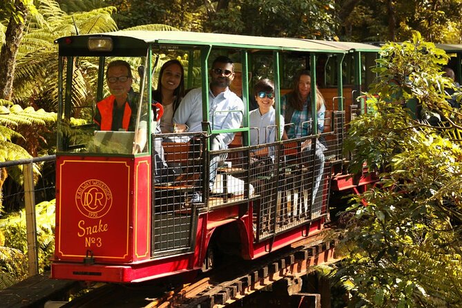 [Stevong Travel] West Coromandel Day Tour - Price and what $434.40 buys you in real-world terms