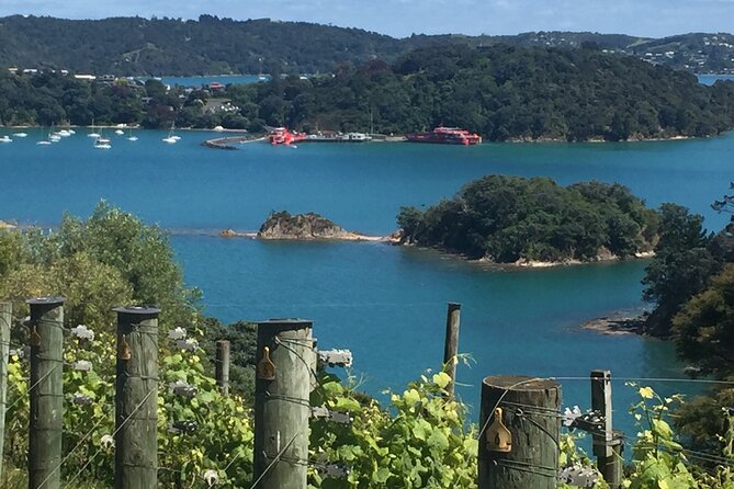 The Boutique Experience: Waiheke Best Cellar Tour (11 guests max) - Key Things I’d Prioritize on This Waiheke Tour