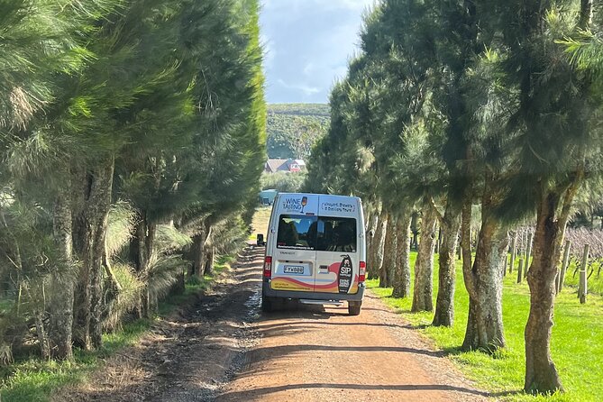 The Boutique Experience: Waiheke Best Cellar Tour (11 guests max) - Getting There: Ferry, Matiatia Wharf, and the 10:40 am Start