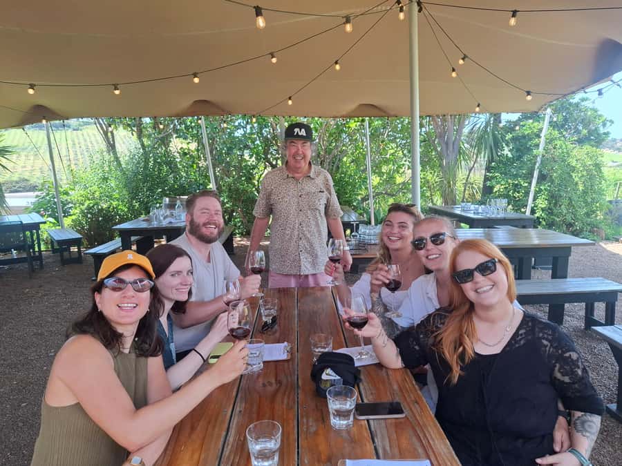 The Boutique Experience: Waiheke Island Best Cellar Tour - Waiheke in five hours: ferry-to-vineyard flow that actually works