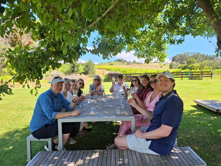 The Boutique Experience: Waiheke Island Best Cellar Tour - Three vineyards and 10–15 wines: how the tastings shape your Waiheke understanding