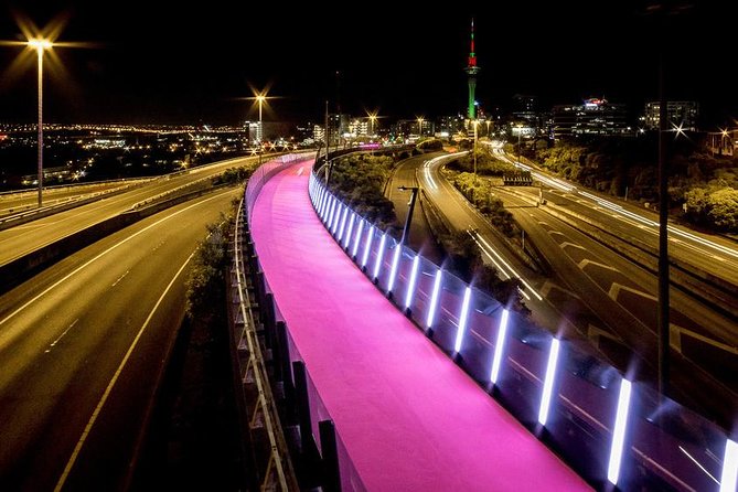 The City Lights: a unique electric bike tour of Auckland by night! - Quick hits before you go