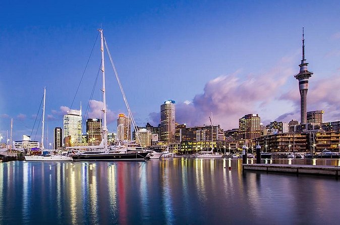 The City Lights: a unique electric bike tour of Auckland by night! - Victoria Park to City Works Depot: local vibe and a food-and-drink pause in your head
