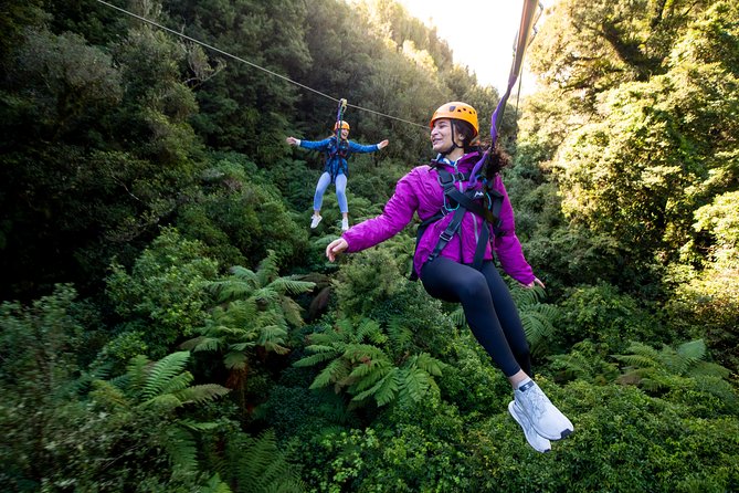 The Ultimate Canopy Zipline Experience Private Tour From Auckland - Key highlights worth penciling in