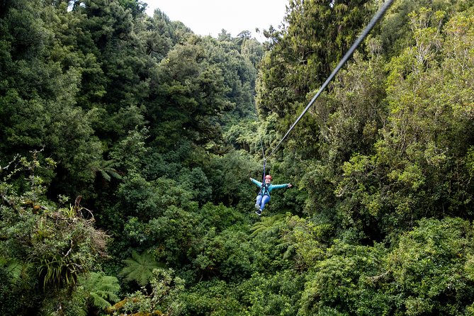 The Ultimate Canopy Zipline Experience Private Tour From Auckland - Abseil, Swing Bridges, and the Tandem 400m Zipline Moment