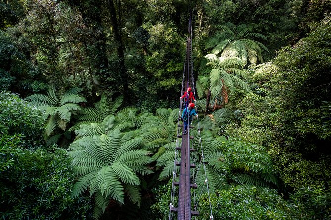 The Ultimate Canopy Zipline Experience Private Tour From Auckland - 12 Hours on the Clock: The Auckland-to-Rotorua Logistics That Matter