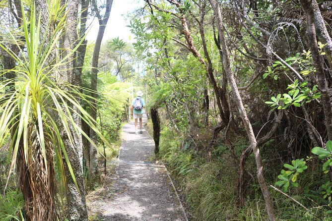 Tiritiri Matangi Island Discovery - from Auckland - Key things that make this trip worth your time
