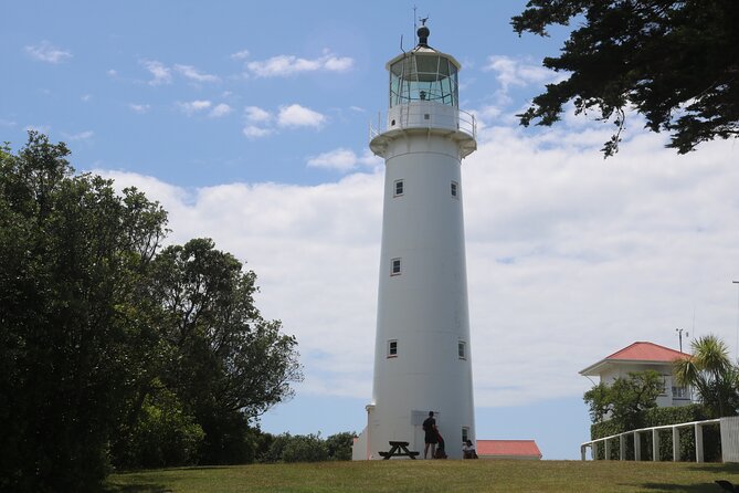 Tiritiri Matangi Island Discovery - from Auckland - On the island: trails, cliffs, and the oldest working lighthouse