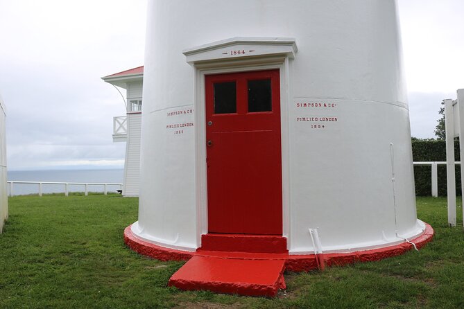 Tiritiri Matangi Island Discovery - from Auckland - Weather, footwear, and cold-water reality: how to prepare like a pro