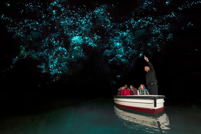 Tongariro Crossing : PRIVATE TRANSFER Leaving AUCKLAND - Who should book this Tongariro private transfer