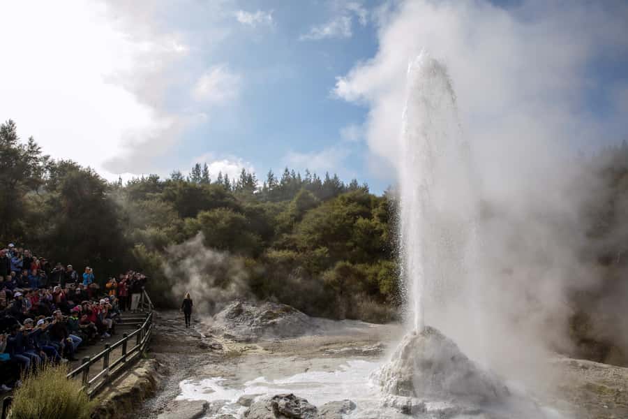 TRIPLE DEAL Wai-O-Tapu, Redwood & Blue Springs from Auckland - A perfect mix: geysers, then redwoods, then pure water