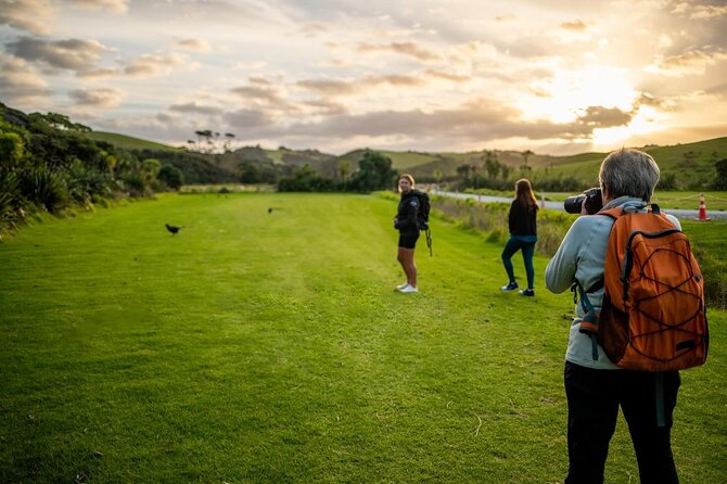 Twilight Wild Kiwi Bird Encounter Private Tour - Why the Twilight Kiwi Walk in Tāwharanui Is Such a Smart Night Out
