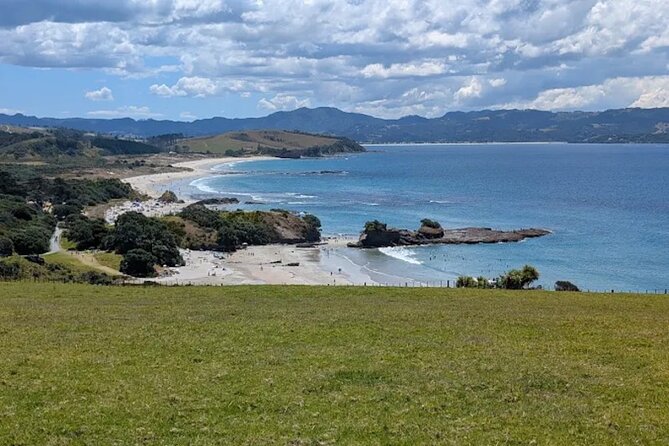 Twilight Wild Kiwi Bird Encounter Private Tour - Entering Tāwharanui: What the Night Walk Actually Feels Like