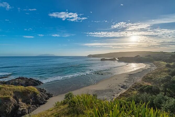 Twilight Wild Kiwi Bird Encounter Private Tour - Dinner, Then Birds: Why This Order Works