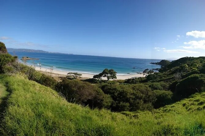 Twilight Wild Kiwi Bird Encounter Private Tour - How Many Kiwis Should You Expect to See?