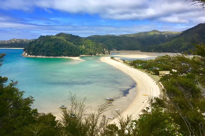 Twilight Wild Kiwi Bird Encounter Private Tour - Weather Matters More Than You Think