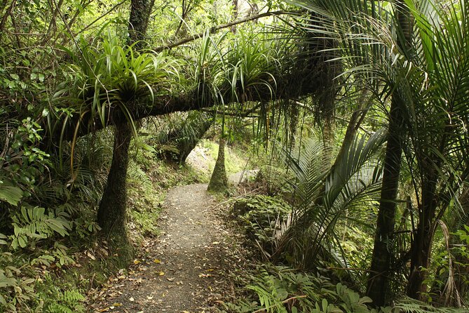 Ultimate Auckland Experience Full Day Tour with Brewery Lunch - Auckland Central Waterfront: Getting Your Bearings Fast