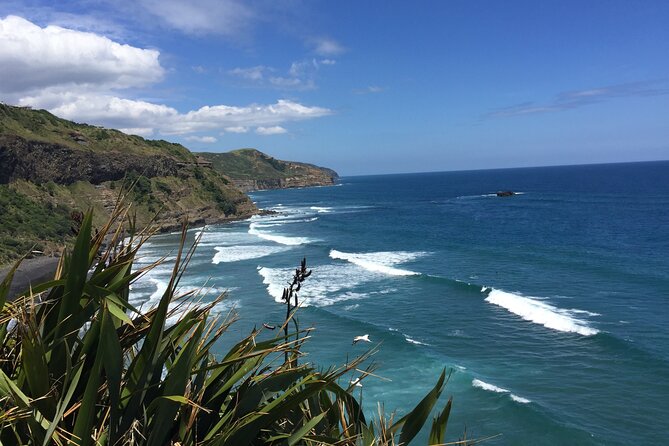 Vineyards Honey and Black Sand Beaches from Auckland - Price and Logistics: What You’re Actually Paying For