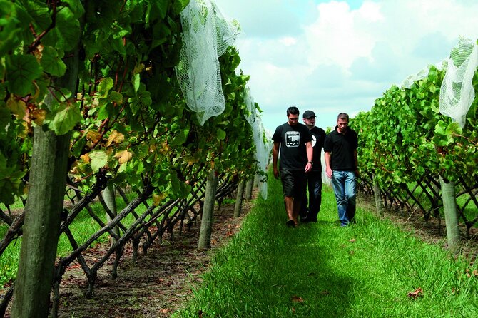 Vineyards Honey and Black Sand Beaches from Auckland - Stop 3: Soljans Estate Winery, Tawny Port, and Lunch That Actually Satisfies