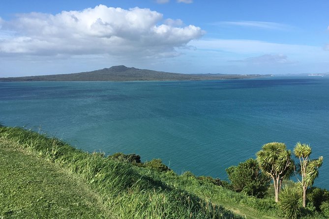 Volcanoes, Coasts, and Secret Spots Afternoon Tour in Auckland - Key highlights worth getting excited about