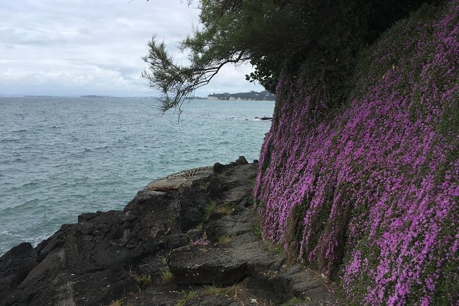 Volcanoes, Coasts, and Secret Spots Afternoon Tour in Auckland - What to bring: shoes, layers, and a realistic walking plan