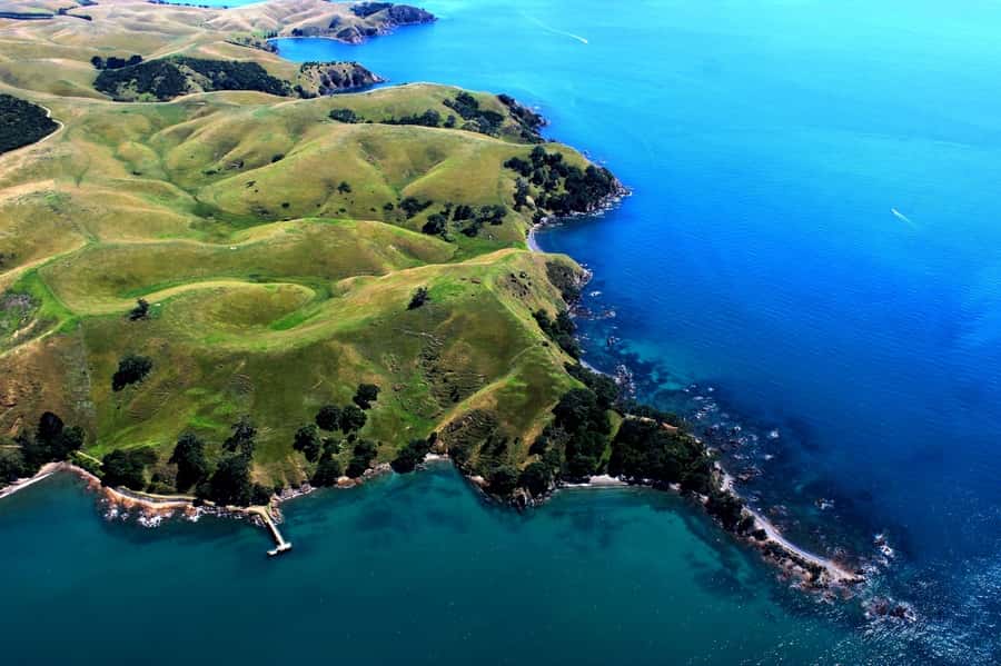 Waiheke Island: 30-Minute Scenic Flight - Key things to know before you go