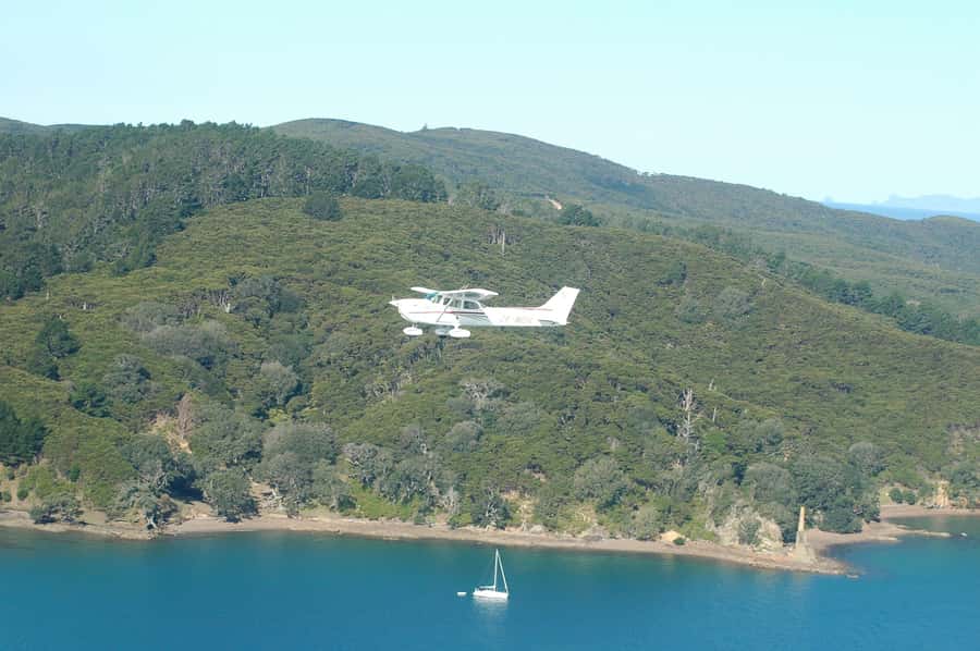 Waiheke Island: 30-Minute Scenic Flight - Who this flight suits best (and who might prefer something else)