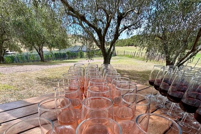 Waiheke Island: Afternoon Wine Affair with Ocean Front Lunch - Price and logistics: why this can be good value (and when it’s not)