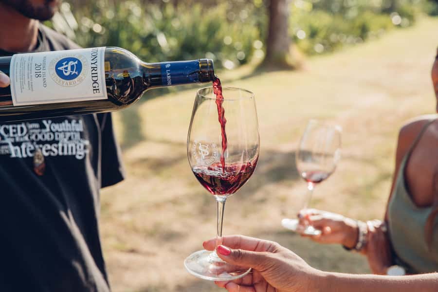 Waiheke Island: Afternoon Wine Tour with Oceanfront Lunch - Who this Waiheke afternoon wine tour is best for
