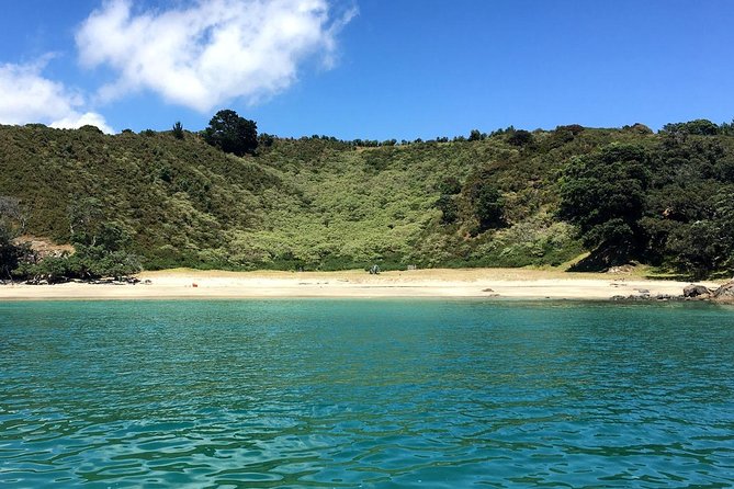 Waiheke Island Bush & Beach Walk - Key highlights worth your attention