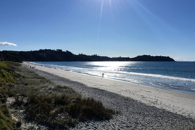 Waiheke Island Bush & Beach Walk - Why Waiheke’s bush-and-beach combo makes sense in 5 hours