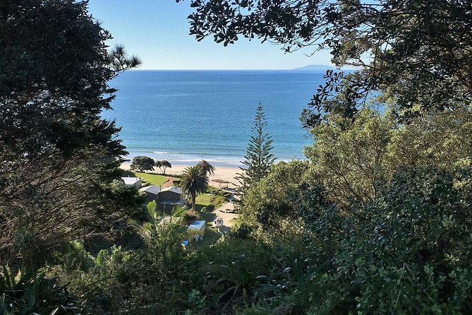Waiheke Island Bush & Beach Walk - Who should book this walk—and who might not