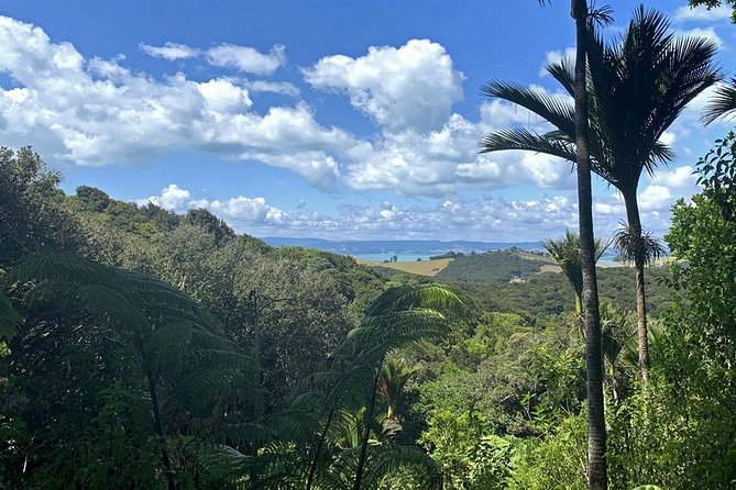 Waiheke Island Bush & Beach Walk - Tips that will make your day smoother