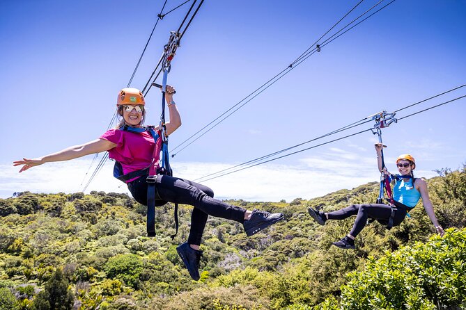Waiheke Island Day Tour: Ziplining, Wine Tasting & Vineyard Lunch - Key highlights to look for