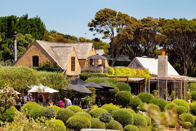 Waiheke Island Day Tour: Ziplining, Wine Tasting & Vineyard Lunch - Getting there: ferry to Waiheke and on-island transfers