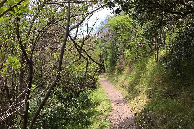 Waiheke Island Double Headland Coastal Walk - Waiheke’s Double Headlands: Matiatia to Church Bay on Foot