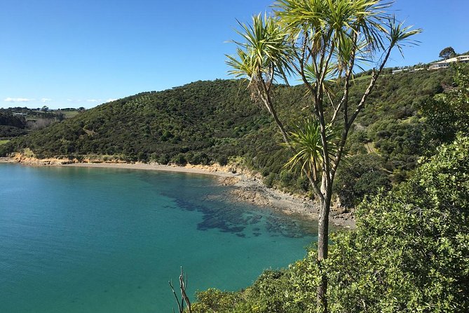 Waiheke Island Double Headland Coastal Walk - The Walk Itself: What to Expect on the Coastal Path