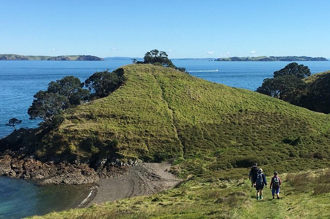 Waiheke Island Double Headland Coastal Walk - Wildlife Spotting Without the Guesswork